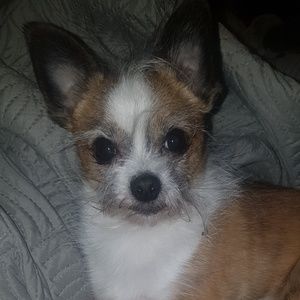 Meet your Posher, Donika